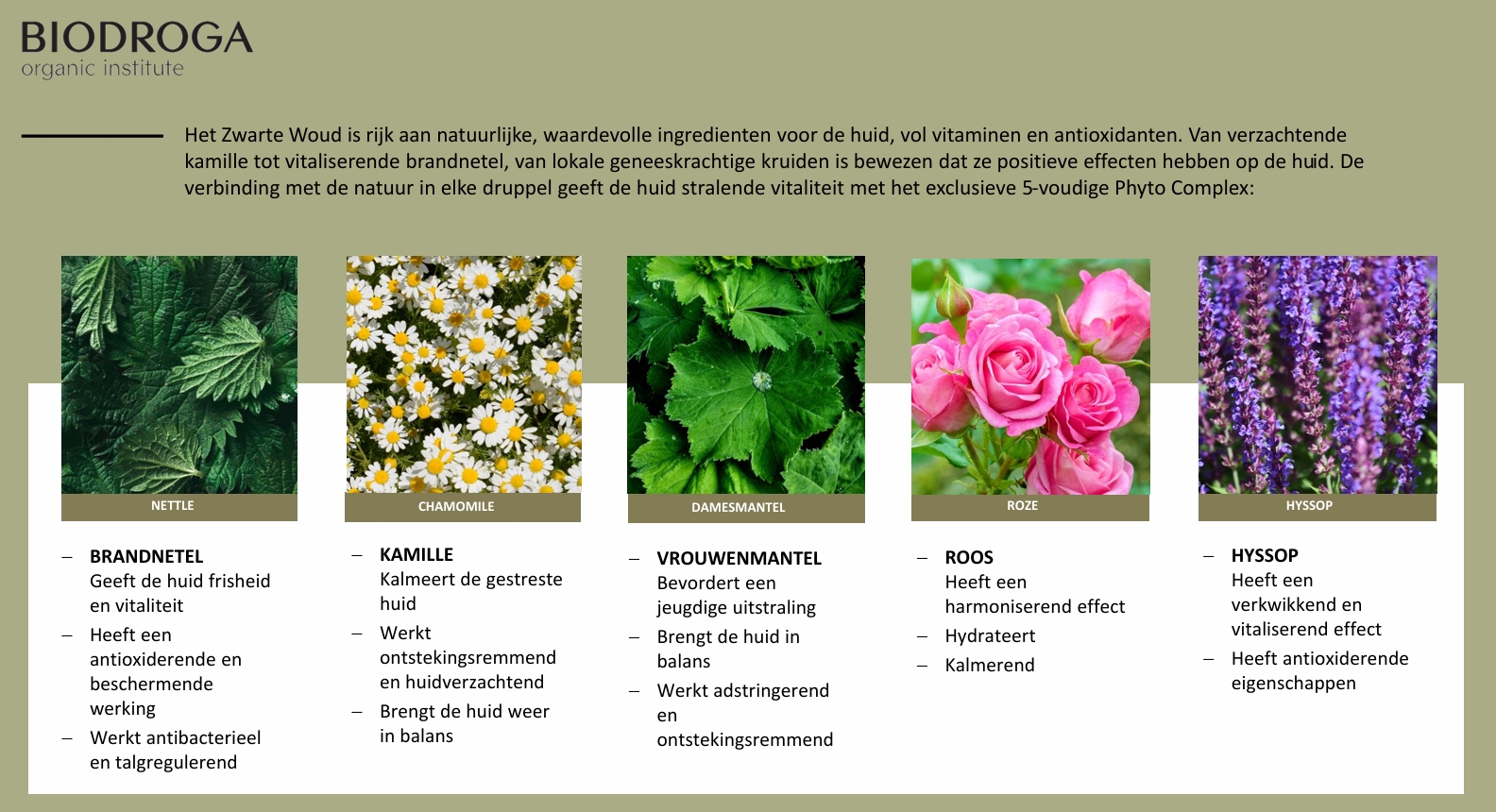Foto's / Biodroga Organics